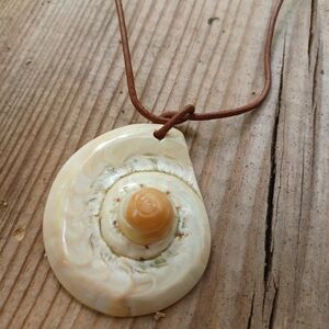 Seashell Necklace